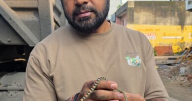 कोरबा के TP नगर ट्रक स्टैंड में ट्रक के अंदर मिला रंग-बिरंगा दुर्लभ उड़न सांप